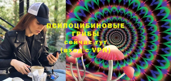 герыч Алзамай