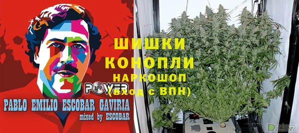 спайс Покачи