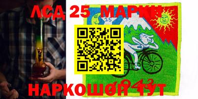 индика Нальчик