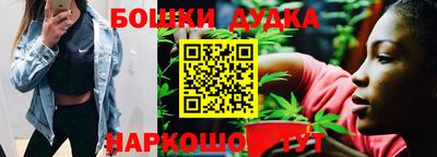 индика Нальчик