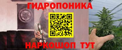 индика Нальчик