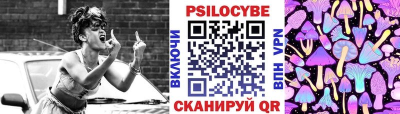 купить   Урюпинск  Псилоцибиновые грибы GOLDEN TEACHER 