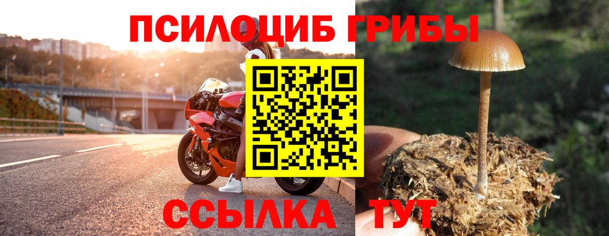 Галлюциногенные грибы Psilocybine cubensis Урюпинск